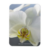 白い蘭の花 マグネット (縦)