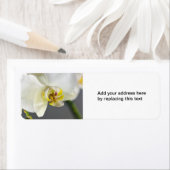 白い蘭の花 ラベル (インサイチュ)