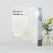 白い蘭の花 レターヘッド (スタンド正面)