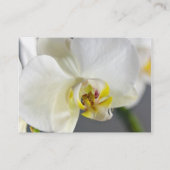 白い蘭の花 名刺 (裏面)