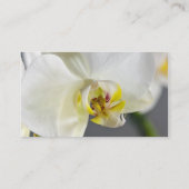 白い蘭の花 名刺 (裏面)