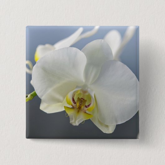 白い蘭の花 缶バッジ (正面)