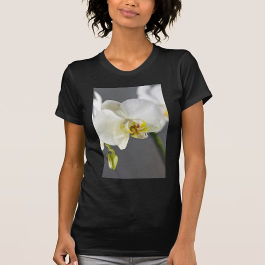 白い蘭の花 Tシャツ (正面)
