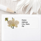 白い蘭差出人住所ラベル ラベル (インサイチュ)