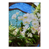 「白い蘭」 (正面)