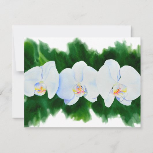 白い蘭 サンキューカード (裏面)