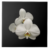 白い蘭 タイル (正面)