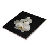 白い蘭 タイル (側面)