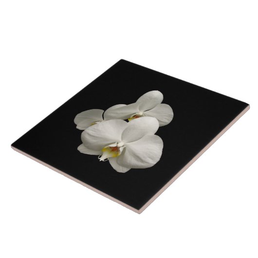 白い蘭 タイル (側面)