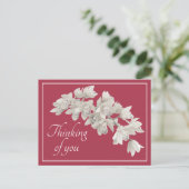 白い蘭 ピンクの背景 あなたのことを想って ポストカード (スタンド正面)