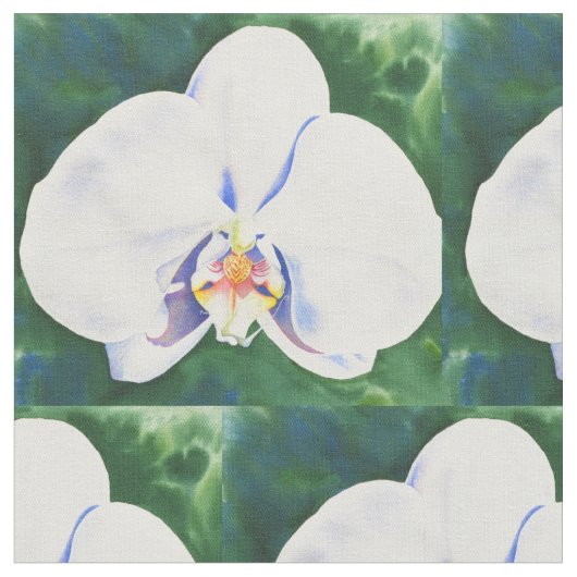 白い蘭 ファブリック (クローズアップ)