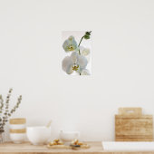 白い蘭 ポスター (キッチン)