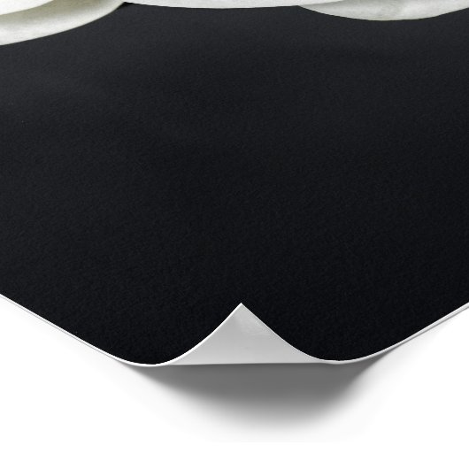 白い蘭 ポスター (角)