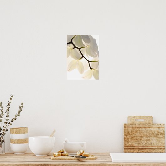 白い蘭 ポスター (キッチン)