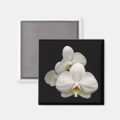 白い蘭 マグネット (正面/裏面)