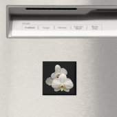 白い蘭 マグネット (インサイチュ (食洗機))