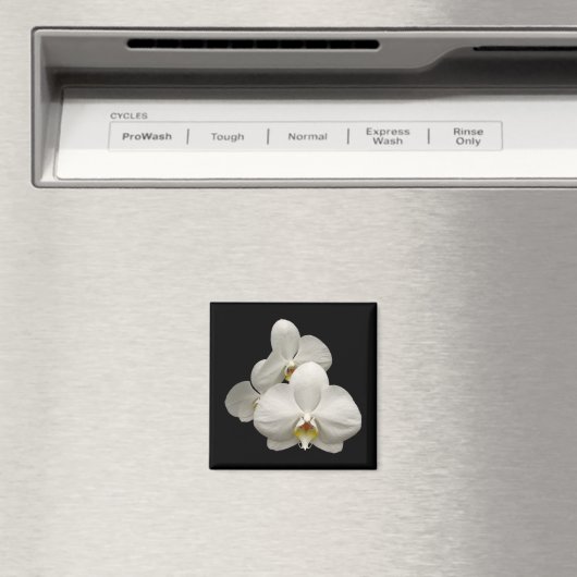 白い蘭 マグネット (インサイチュ (食洗機))