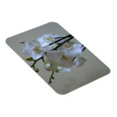 白い蘭 マグネット (右側)