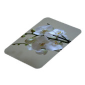 白い蘭 マグネット (左側)