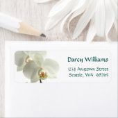 白い蘭 ラベル (インサイチュ)