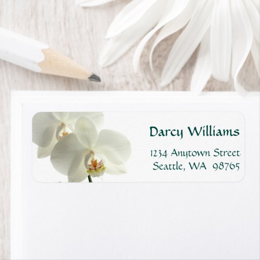 白い蘭 ラベル (インサイチュ)