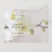 白い蘭・日付はがきを保存 案内ポストカード (裏面)