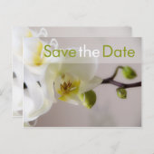 白い蘭・日付はがきを保存 案内ポストカード (正面/裏面)