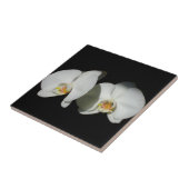 白い蘭、熱帯の白い花 タイル (側面)