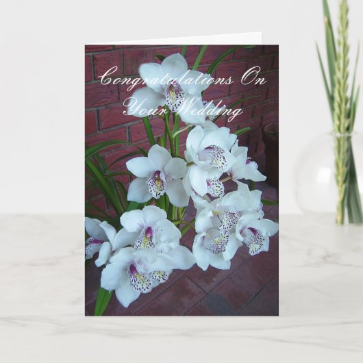 白い蘭、結婚おめでとう カード (正面)