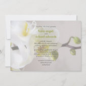 白い蘭 • 結婚式招待状 招待状 (裏面)