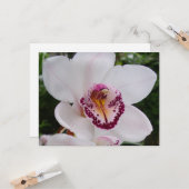 白い蘭I美しい熱帯花 カード (正面/裏面インサイチュ)