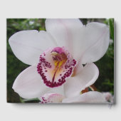 白い蘭I美しい熱帯花 ゲストブック (裏面)