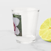 白い蘭I美しい熱帯花 ショットグラス (右)