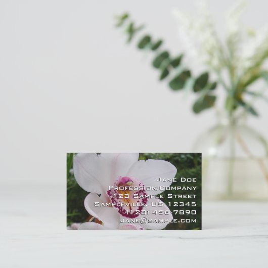 白い蘭I美しい熱帯花 名刺 (スタンド正面)