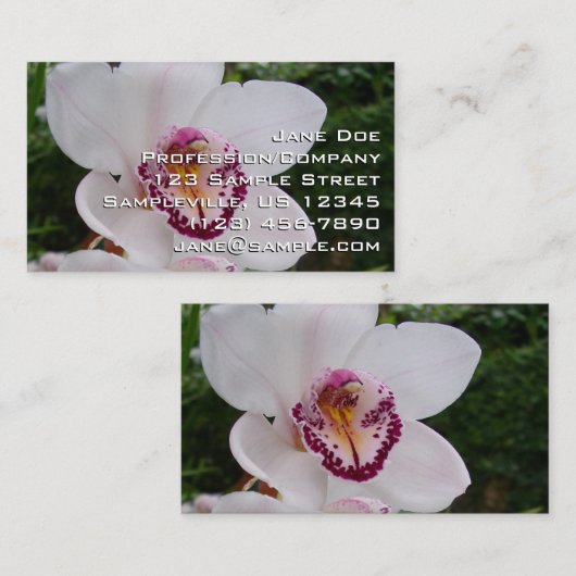 白い蘭I美しい熱帯花 名刺 (正面/裏面)