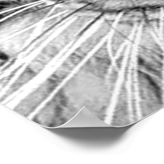 白い虎のポスターの目 ポスター (角)