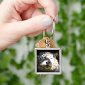 白い虎を参照 キーホルダー (手)