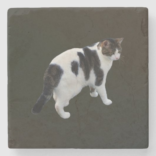 白い虎猫と濃いパッチ ストーンコースター (正面)