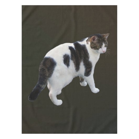 白い虎猫と濃いパッチ テーブルクロス (正面)