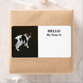 白い虎猫と濃いパッチ ラベル (インサイチュ)