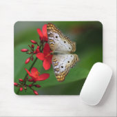 白い蝶のクローズアップ マウスパッド (マウス)