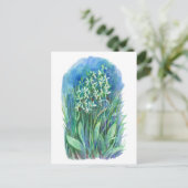白い蝶のラン 春の花の絵 ポストカード (スタンド正面)