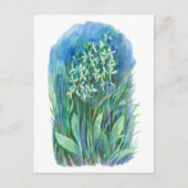 白い蝶のラン 春の花の絵 ポストカード (正面)