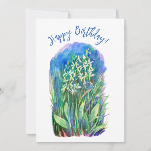 白い蝶の蘭の春花 (正面)