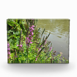 白い蝶の飛行 フォトブロック