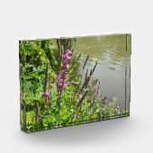 白い蝶の飛行 フォトブロック (左)