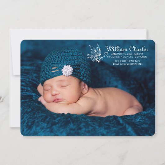 白い蝶写真の誕生の発表 案内状 (正面)