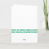 白い蝶 カード (裏面)