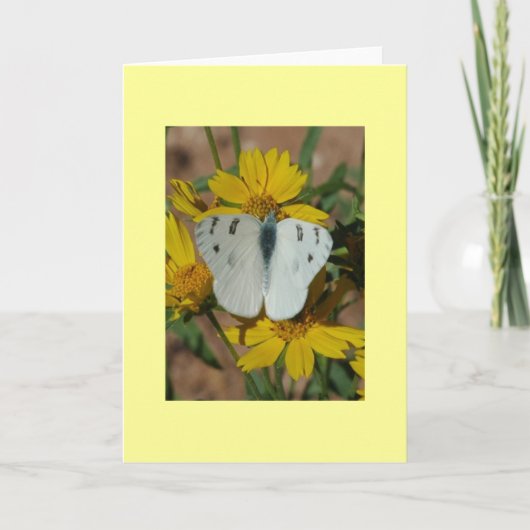白い蝶 カード (正面)