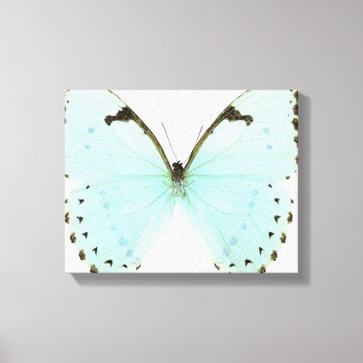 白い蝶 キャンバスプリント (正面)